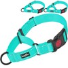 haapaw 2 Packs Martingale Dog Collar with Quick Release Buckle