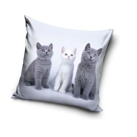 Cat Baby Motif Cushion Cover 40 x 40 cm (PNL231182)