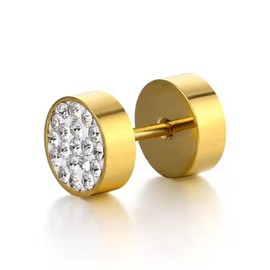 HUGE TOMATO 2 Pairs Stainless Steel Mens Womens Stud Earrings 8MM Cubic Zirconia Stud Earrings Cartilage Ear Piercings Helix Tragus Barbell Stud Earrings…