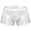Men's Sexy Silky Boxers, Seamless Sheer Ultra Thin Cycling Boxer