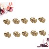 Ciieeo 10Pcs Copper Studs Accessories for DIY Bag Making Screw