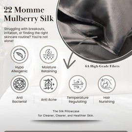 Sillo Silk Pillow Cases 2 Pack with Wash Bag – Silver-Infused Anti-Acne Pillow Cases for Acne-Prone Skin, 22 Momme 6A Mulberry Silk for Hair & Skin, Hypoallergenic, Queen (Charcoal Grey)