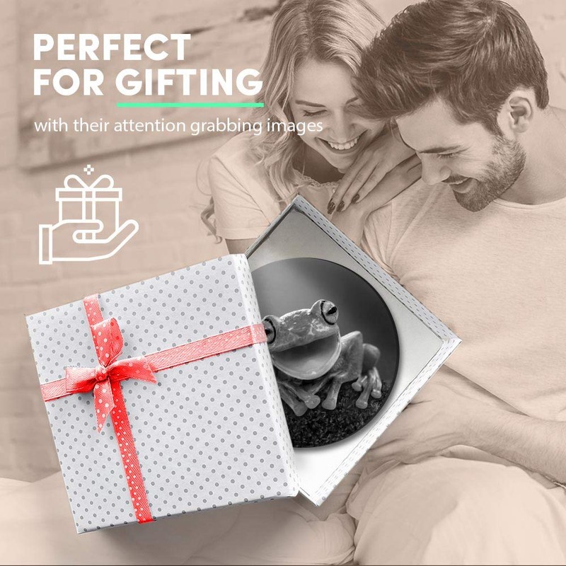 1 x Round MDF Magnet - Happy ny Frog Jungle