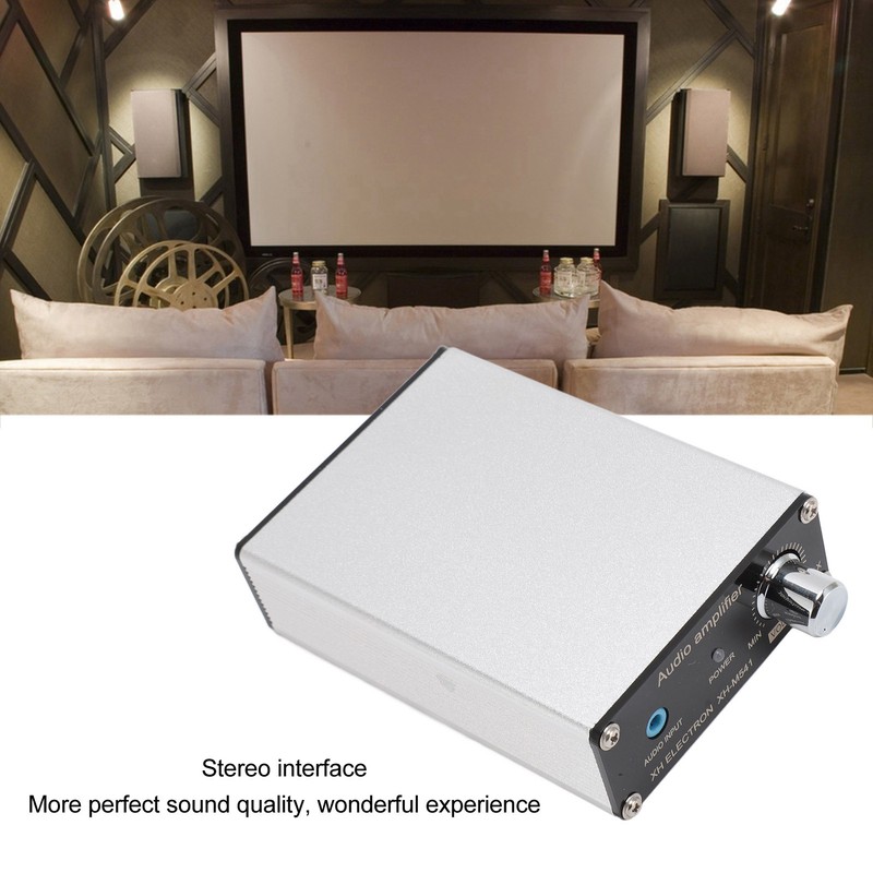 Subwoofer Amplifier Dual Channel Digital TPA3116D2 Power Amp Board for