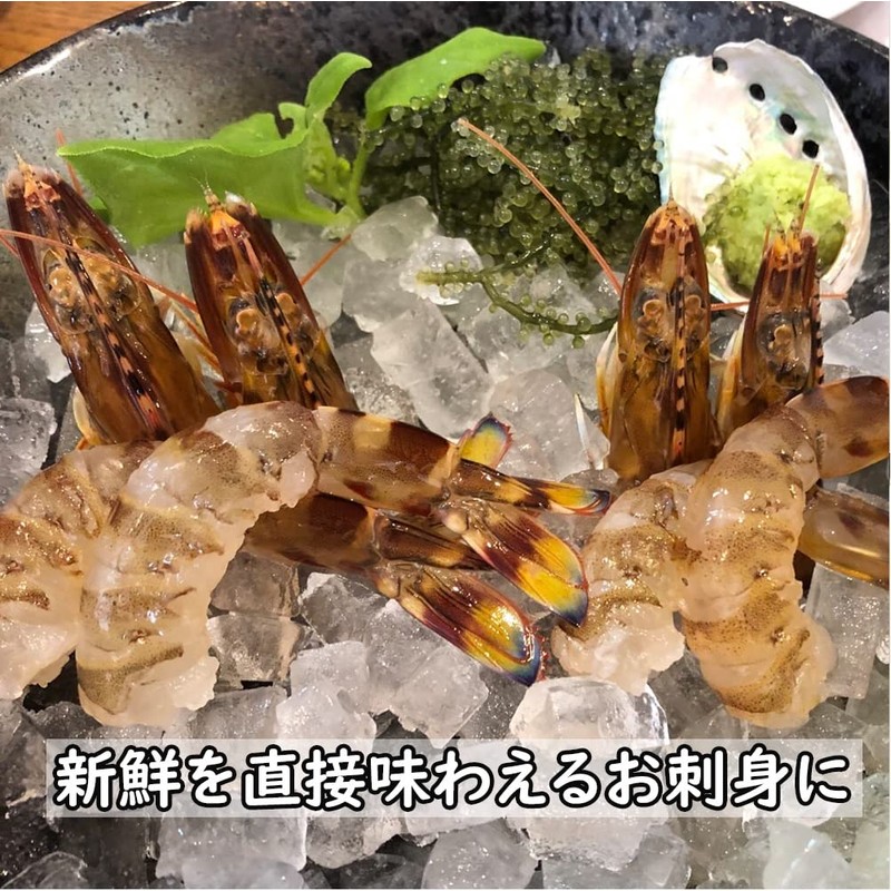 Life-based Quick Freezing Shrimp 17.6 oz (500 g) (Large Size