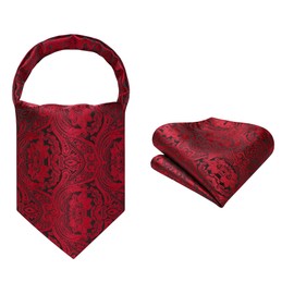 HISDERN Ascot Ties for Men Paisley Floral Ascot and Pocket Square Set Classic Self Tie Mens Cravat Handkerchief for Wedding, D-red 3, One Size