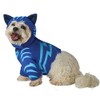PJ Masks Catboy Dog Costume | Costumes for Dogs M