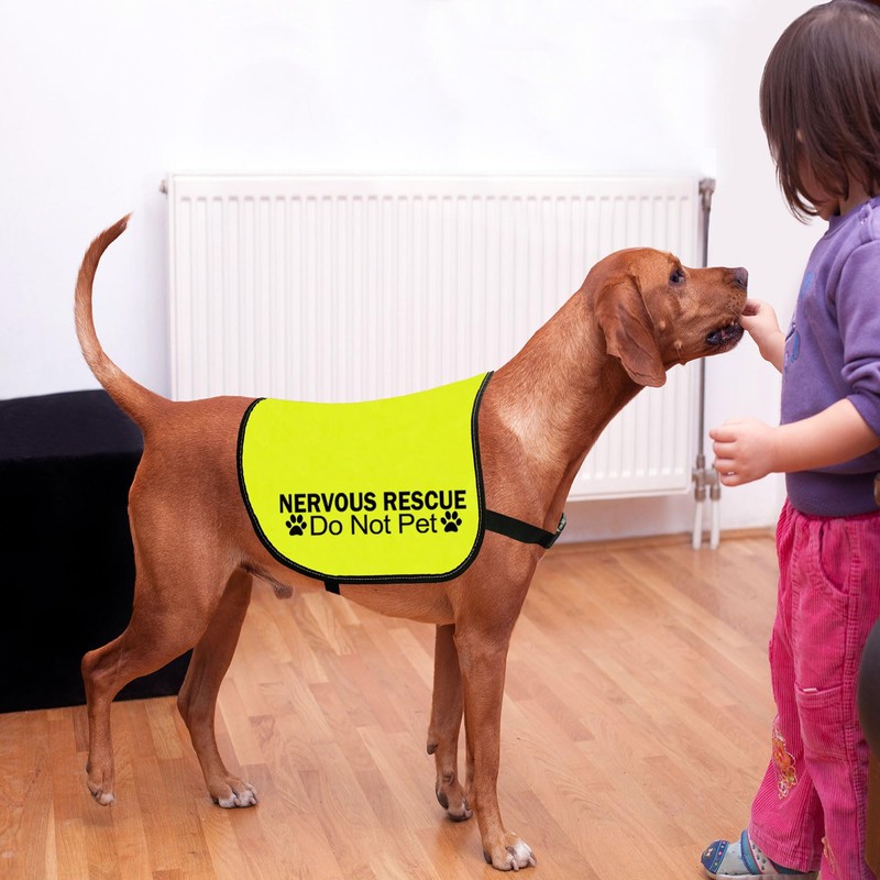 Nervous Ask To Pet/Do Not Approach Jacket - Rescue Dog