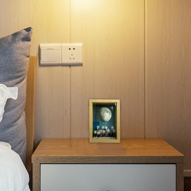 Tulips Night Light Picture Frame | Tulips Picture Frame Furniture Decoration Table Lamp | Desk Ornament Photo Frame USB Powered Simulation Flower Lamp for Kitchen Kids Room