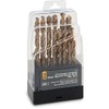 Titan 11006 Toolsium Drill Bit - 22 Piece