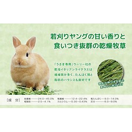 (1 Piece Limit Per Order) Woolly Morning Pasture on the Plateau "Italian Rice Glass" Young 2023 15.9 oz (450 g)