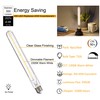 FLSNT T10/ T30 Dimmable LED Edison Bulbs, 9.4" Decorative LED
