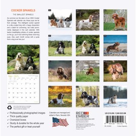 RED EMBER Cocker Spaniels 2025 Wall Calendar 12 Month | 12" x 24" Open | Thick & Sturdy Paper | Giftable | Calendar 2025