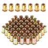 Gueenky Pack of 100 Rivet Nuts M8 Galvanised Carbon Steel