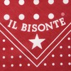 IL BISONTE Bandana Handkerchief, Women's, Men's, Unisex, gray