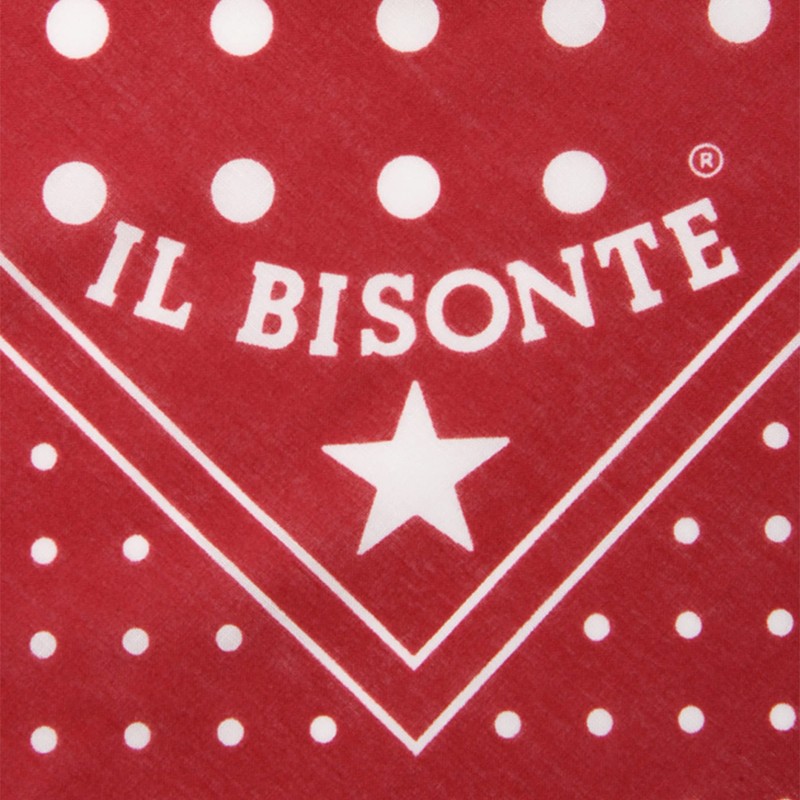 IL BISONTE Bandana Handkerchief, Women's, Men's, Unisex, gray