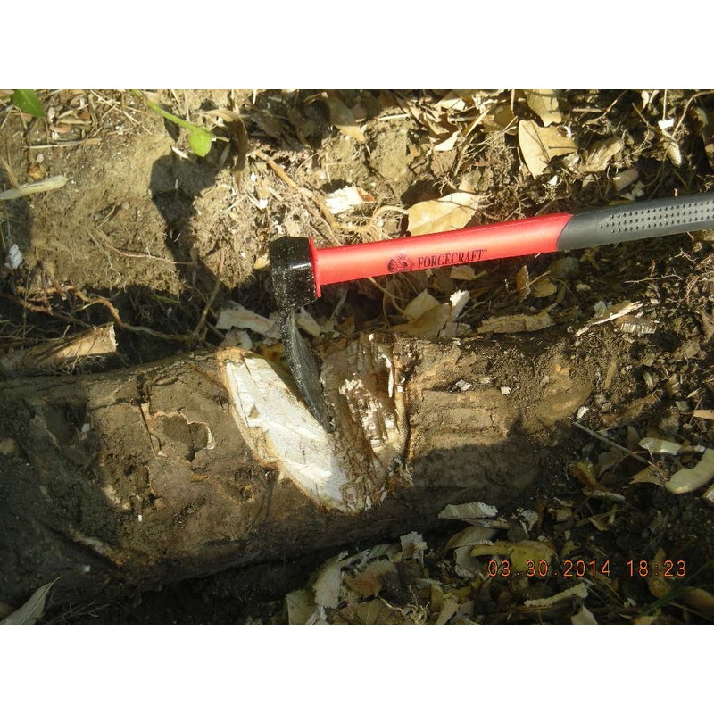 Forgecraft Forged Adze with Fiberglass Handle. Made In Taiwan!