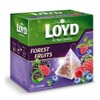 Loyd Fruit Tea Forest Fruits, 20 teabags (Pack of 6)