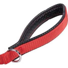 GOGO Pet Products 5/8-Inch Wide Comfy Nylon Dog Leash, 6-Feet Long, Red