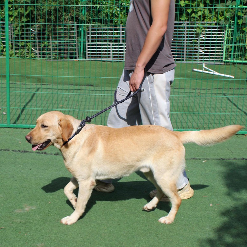 Hiado Slip Lead Dog Leash Reflective with Stopper Loop Rope