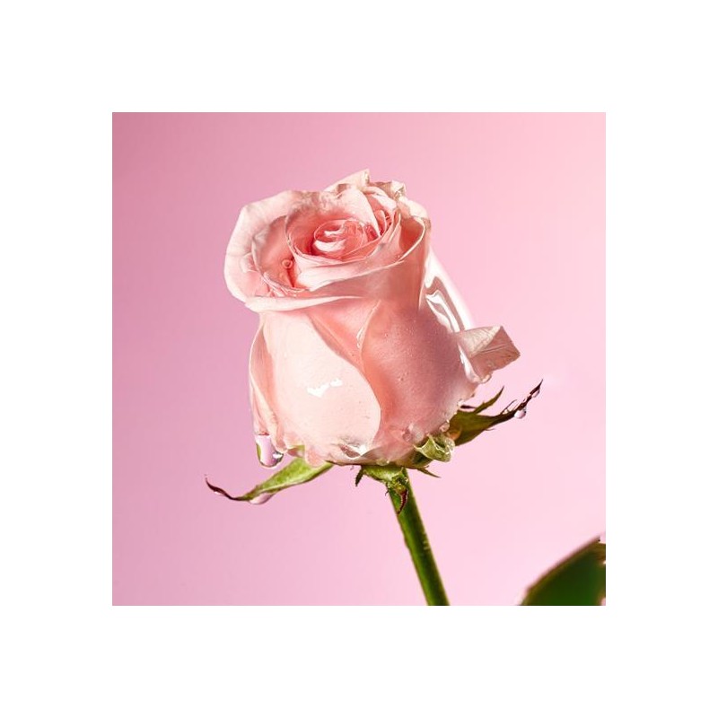 Mamonde Flora Glow Rose Smoothing Cream 50mL - Mamonde Flora