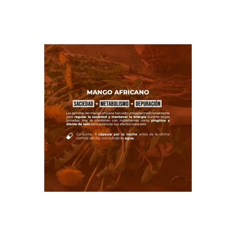 Mango Africano 30 Caps De 500 Mg Control De Peso