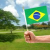 QQSD Brazil Small Flag Brazilian Stick Mini Hand Held Flags
