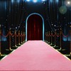HOMBYS 450 GSM Extra Thick 3x15 ft Pink Carpet Runner