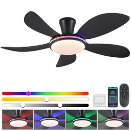 PHORUS 48" RGB Ceiling Fans with Lights and Remote/APP,Black Low Profile Ceiling Fans with Quiet Reversible DC Motor,Modern Flush Mount Fans Light for Bedroom Kids Room