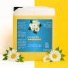 Shampoo Capilar De Manzanilla 5 Litros