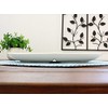 Monkey Oval Partition Plate (Western-style dishes, plates, divider dishes, children's