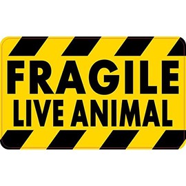 StickerTalk Fragile Live Animal Vinyl Sticker, 5 inches by 3 inches