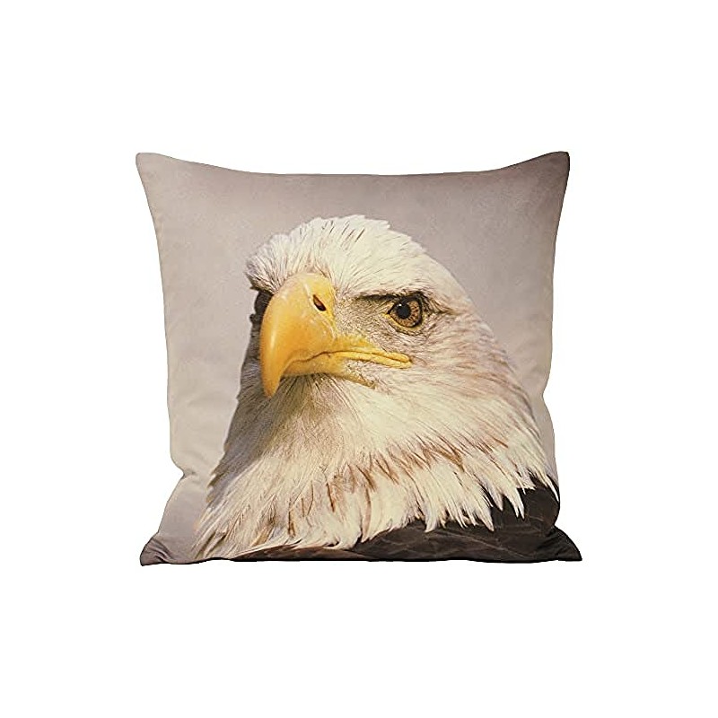 Riva Paoletti Animal Eagle Cushion Cover - Animal Print Design