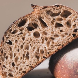 Organic whole wheat 400+ years old sourdough starter dehydrated about 1 ounce Traditional German Natural - Specification: Starter with print out instructions