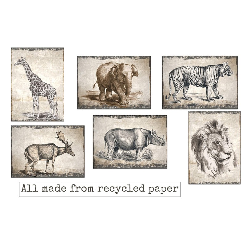 48 Eco-Friendly Blank Greeting Cards Drawn by an Artist ..