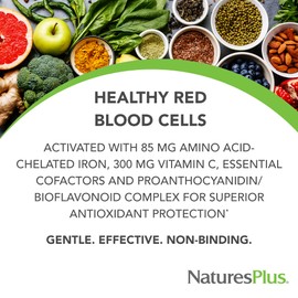 NaturesPlus NaturesPlus Hema-Plex Iron - 30 Slow-Release Tablets, Pack of 3 - Total Blood Health - 85 mg Chelated Iron - With Vitamin C & Bioflavonoids - Non GMO, Vegetarian & Gluten Free - 90 Total Servings