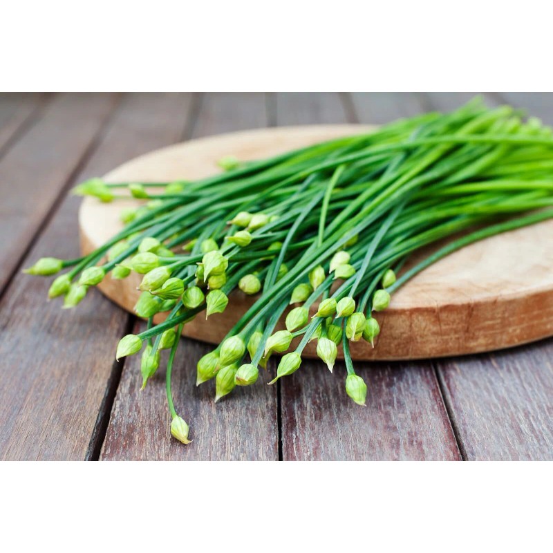 Garlic Chive Seeds | Organic | NON-GMO | Heirloom |