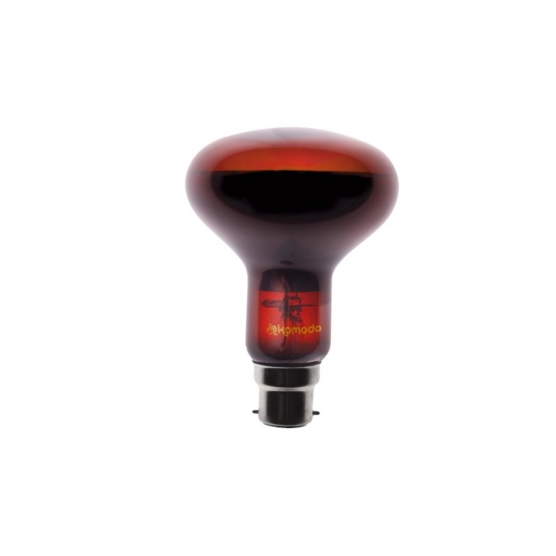 Komodo Night Spot Bulb R80 BC, 100 Watt