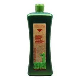 Salerm Biokera  Shampoo Especifico Anti Caida 1000ml Regenera Detiene Caida Del Cabello Ginseng Y Ginkgo Biloba                                       
