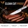 Steak Knives Set of 4, 5-Inch Serrated Stainless Steel Dinner