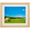 FUJICOLOR YM-3 Series Picture Frame