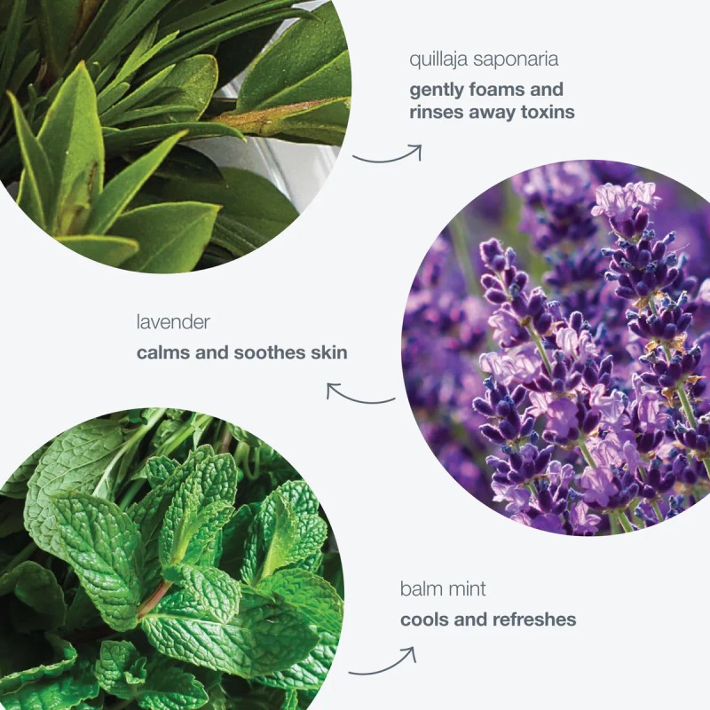 Gel Limpiador Dermalogica Special 50 Ml, Suave Y Espumoso