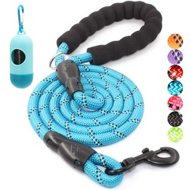 BAAPET 2/4/5/6 FT Strong Dog Leash with Comfortable Padded Handle and Highly Reflective Threads for Small Medium and Large Dogs
