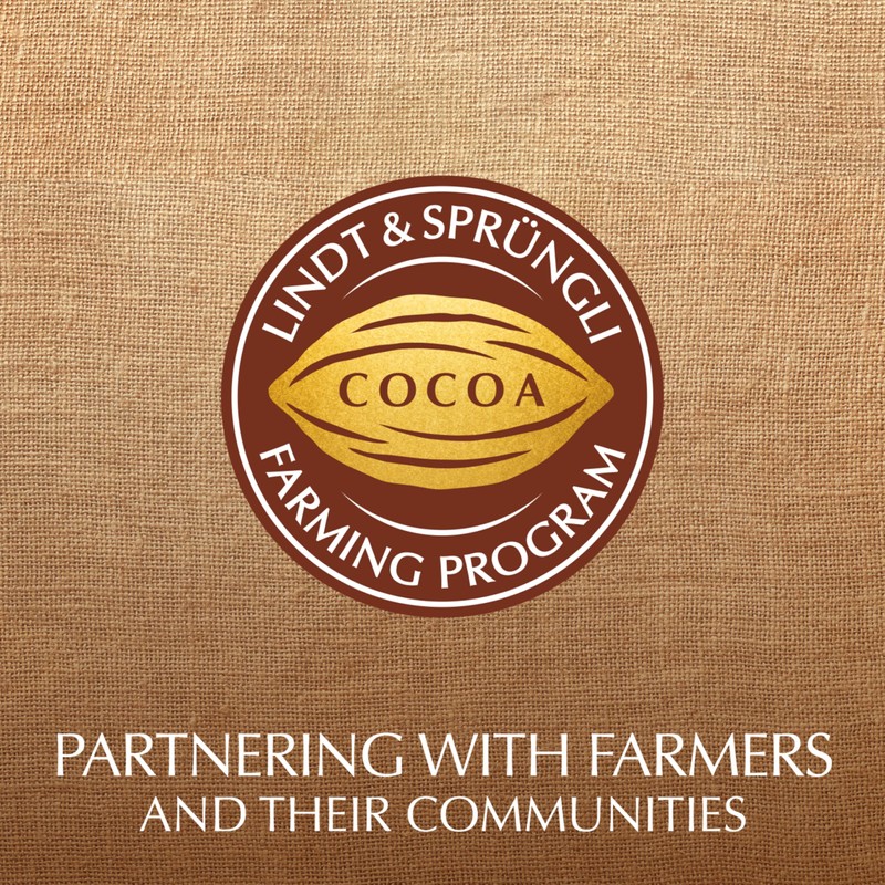 Lindt EXCELLENCE 70% Cocoa Dark Chocolate Bar, Dark Chocolate Candy,