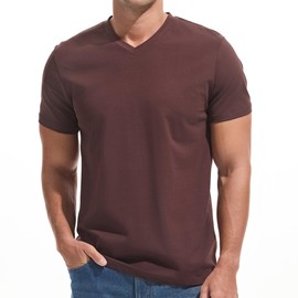 VEIISAR Premium V Neck T Shirts for Men - Modern Fitted Tees Vneck Undershirts V8 Brown L
