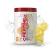 Metabolic Nutrition Micronized Creatine Plus 420g (420g, Lemonade)