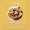 VIZANA NUTRITION | Jengibre Orgánico Certificado USDA en Polvo 200g