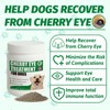 Cherry Eye Treatment for Dogs, Terra-CIN for Conjunctivitis, Reduces Redness