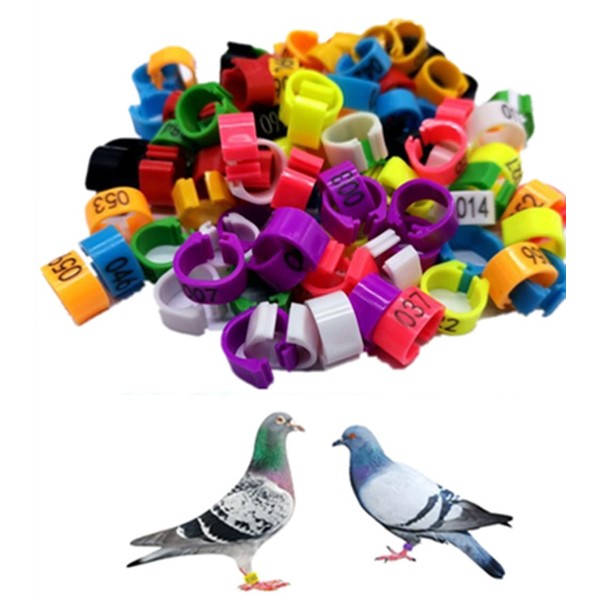 Pigeon Foot Rings，Colorful Readable Numbered Bird Identification Leg Bands 100