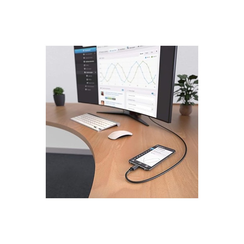 INF USB-C to DisplayPort (DP) Adapter 4K (1.8 m) Black